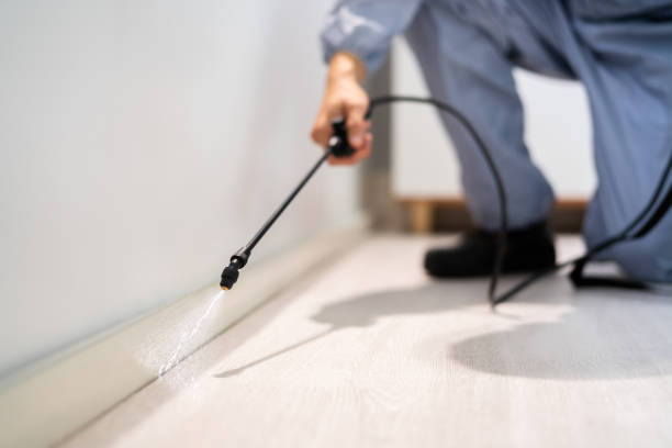 Bed Bug Pre-Treatment Preparation Assessment in Millington