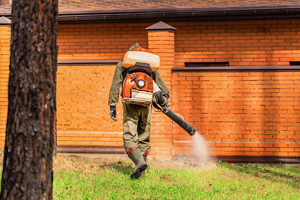 Bed Bug Clearance Verification and Documentation in Millington